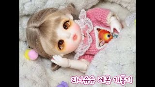 구체관절인형 리나슈슈 윈터블룸 레몬 🍋ll 포켓 개봉기 ll 중고거래💘인놀