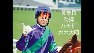 2022/3/12 沙田10場日馬心水分享 #HKJC #香港賽馬會 #horseracing #hongkong #racingtips