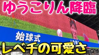 【こりん星降臨】究極に可愛いきつね姿で小倉優子が始球式！ママになっても衰えぬ可憐な姿をエスコンで披露！2023年6月10日阪神対日本ハム