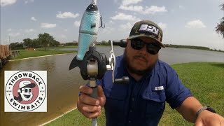 Caught a monster catfish using Throwback Swimbaites Metro Glide || Lunch Time Fishing 🎣