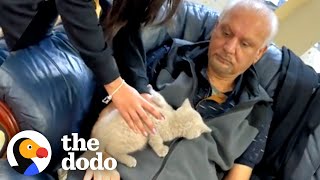 He Didn’t Want Cats But Ended Up Becoming A Total Cat Dad | The Dodo