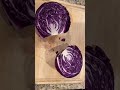 PURPLE CABBAGE/RED CABBAGE - Tips for Beginner Cooking #Shorts @ShinewithShobs