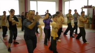 DY Sao Seminar at Shaolin Wu Xiao (Germany)