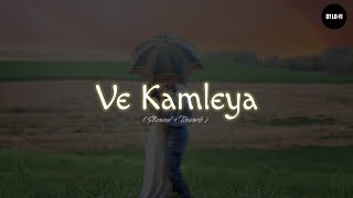Ve Kamleya | Do Naino Ke Pechida | Slowed & Reverb | Arijit Singh | Chill Vibes Playlist | DT Lo-fi.