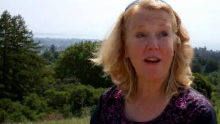 STEP 27: How Do I Plot the Resolution of a Novel, Memoir, Screenplay?