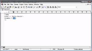 Beginner PHP Tutorial - 16 of 200 - Variables (www.dynamicwebart.com)