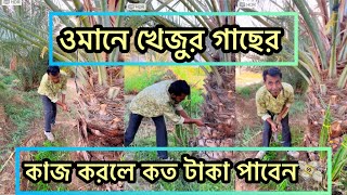 ওমানে খেজুর গাছের কাজ করলে কত টাকা বেতম পাবেন,#প্রবাসী #funny #আরব