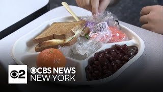 Gov. Hochul proposes free meals for all students in New York