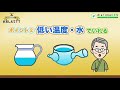 【 おしえてtt】第5回 安いお茶をおいしくいれる方法と水出し緑茶の簡単なつくり方について ｜ ietimeoen 家タイム応援プロジェクト ｜ 伊藤園