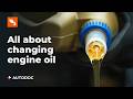 When, why, and how to change engine oil | AUTODOC tips