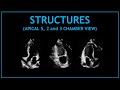 Cardiac STRUCTURES! (Apical 5, 2 and 3 chamber views - Echocardiography)