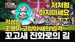 냥코대전쟁 각성한 꼬맹이 고양이 새의 습격 출격제한 클리어 #battlecats #にゃんこ大戦争