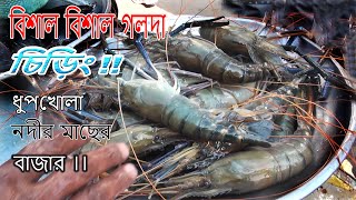 ঢাকার ধুপখোলা নদীর মছের বাজার/Biggest River Fish Market in Dhaka/দেশী মাছের বাজার/ঢাকার বিখ্যাত মাছ