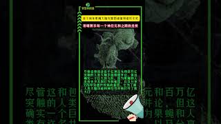 【每日科学新发现】首个成年果蝇大脑完整图谱值得诺贝尔奖，清晰展示每个神经元和突触