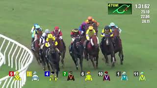 2024 HKJC SHA TIN THE  QEII CUP