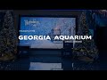 Holidays at the Georgia Aquarium Opening Weekend