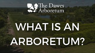 What is an Arboretum? | The Dawes Arboretum