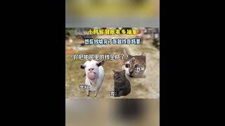 小时候到底有多抽象 #猫meme #猫meme小剧场  #funny #迷恋 #cat  #萌宠 #貓 #pets  #萌寵 #遊戲 #治癒小貓  #cute