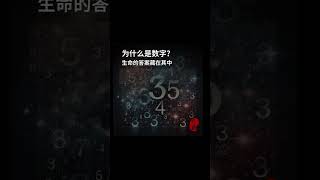 数字能量学 - 探索生命密码背后的奥秘