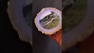 Resin art for beginners/ Resin art #shorts #ytshorts #shortvideo #viralshorts #resinart #viralreels