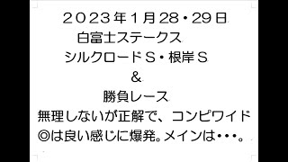 コンピ帰結理論から白富士ステークス・シルクロードS・根岸Sのなど的中反省会。無理しないが正解で、今回はコンピワイド◎は良い感じに爆発。今週は1位4位祭り。2023年1月28・29日。