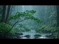 Fall Asleep Naturally with Heavy Rain on a Forest Stream | ASMR Rain Sounds on a Forest Lake