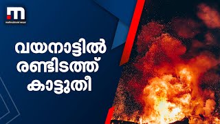 വയനാട്ടിൽ രണ്ടിടത്ത് കാട്ടുതീ| Wyanad | fire