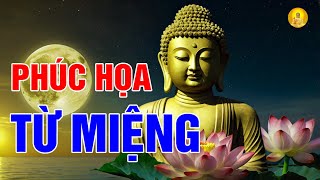 Phúc Họa Từ Miệng Cẩn Ngôn Để Sống An Lành - Triết lý Cuộc Sống