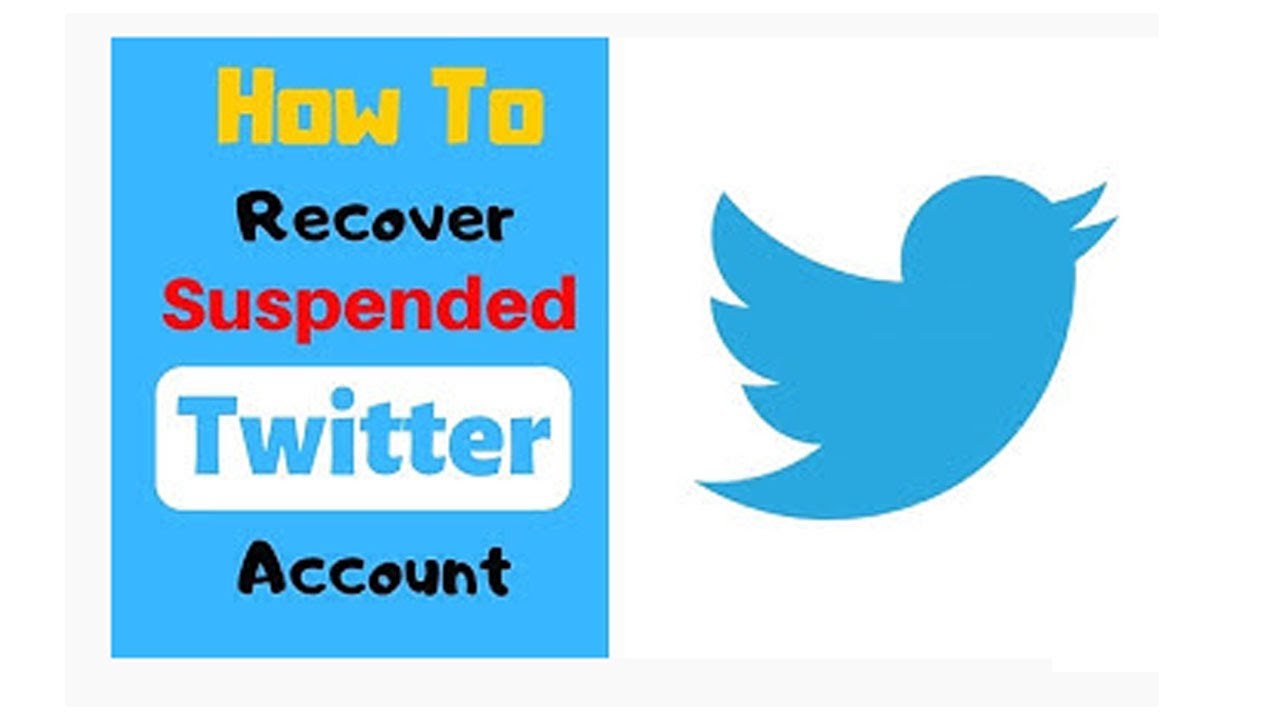 How To Recover Suspended Twitter Account Immediately 2020 - YouTube