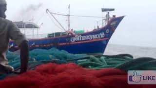 ഉൾക്കടലിൽ മീൻ പിടിക്കുന്ന അപൂർവ്വ കാഴ്‌ച|Deep Sea Fishing in kerala#DeepSeaFishing#Sea Creatures#