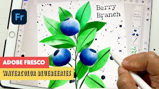 ADOBE FRESCO - Watercolor Blueberry Branch