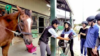 #桑名市  #桑名ほんぱく 2018 🍺 #細川酒造  🏃🏽‍♀️＃スター21  🐴#クレイン東海  4k撮影  videopage.net