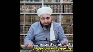 باسی حەرامیەتی کێشانی نێرگەلەو هاوکێشەکانی مامۆستا نافع ملا زادە#استغفرالله