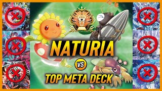 Naturia vs Snake-Eyes, Branded, Gold Pride and so on!! | OTK | Master duel Season 28 | Meta Deck