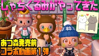 【あつ森記念コラボ】しゃちくるみが罪人村を荒らしにやってきた‼ 第1弾【あつまれどうぶつの森 コアラ】