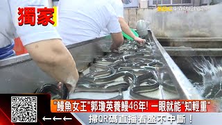 獨家》「台灣鰻魚女王」養贏日本人！每5條有1條從這來 @57ETFN