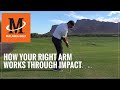 Malaska Golf // How Your Right Arm Works Through Impact - The Single Most Important Position in Golf