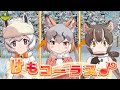 ボブキャット体力測定「むちゃ」