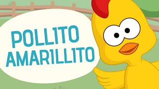 Pollito amarillito - Canciones infantiles - Toobys