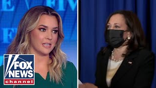 Pavlich on Harris' 'cringey' interview: There's a reason she got zero votes