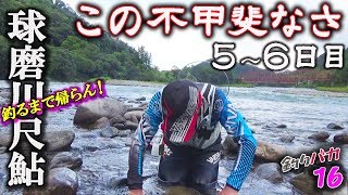 この不甲斐なさ【球磨川尺鮎】釣るまで帰らん！2019-5.6日目 森園正二の釣りバカ日記16-5.6 番外編