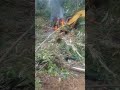 unit excavator terbakar