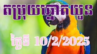 តម្រុយឆ្នោតយួន ថ្ងៃទី 10/2/2025