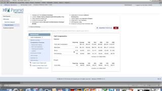 PayScale Demonstration-HRPyramid.mp4