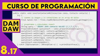 MySQL en JAVA: Imágenes ☕ DAM - DAW