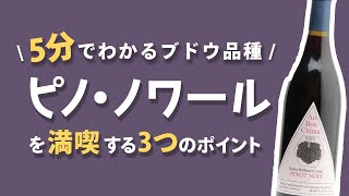 【ワイン初心者】この３つで「ピノ・ノワール」がわかる...！？【ブドウ品種基礎知識②】