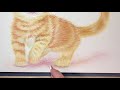 猫の描き方 with 色鉛筆 タイムラプス how to draw a cat