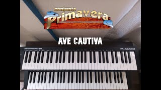 Ave Cautiva / Conjunto Primavera / Tutorial De Teclado / Acordes Y Figuras