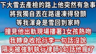 下大雪去產檢的路上他突然有急事，將我獨自丟在路邊凍得發顫，等我渾身是雪回到家時，撞見他出軌現場摟著1女孩熱吻，我轉身收拾行李一句話沒說，隔天被強制執行律師1句話他瘋了#家庭伦理#小說