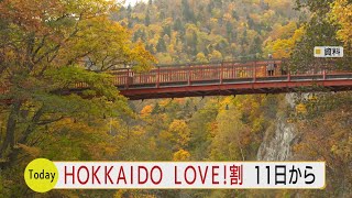 「ＨＯＫＫＡＩＤＯ　ＬＯＶＥ！割」新たな北海道の旅行割スタートへ